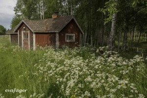 Det gamla badhuset i Gopa